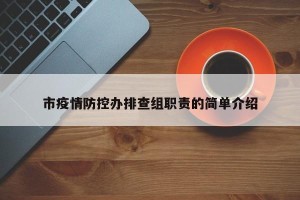 市疫情防控办排查组职责的简单介绍