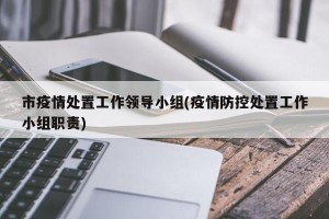 市疫情处置工作领导小组(疫情防控处置工作小组职责)