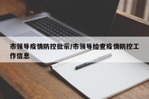 市领导疫情防控批示/市领导检查疫情防控工作信息